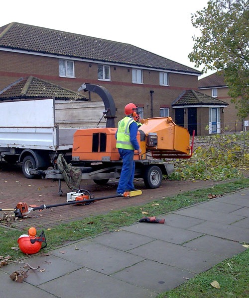 Loading Image