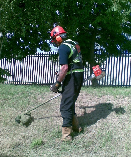 Loading Image